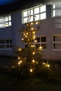 Christbaum 2016