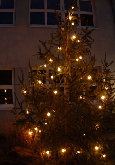 Weinachtsbaum