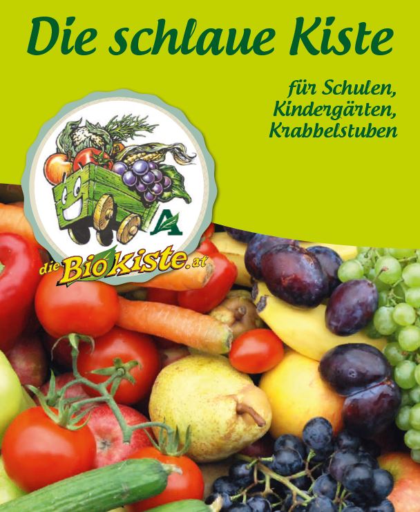 die schlaue kiste